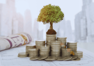 Invest with Peace of Mind